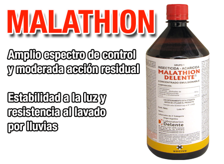 placa_3